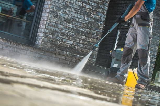 Best Soft Washing  in Morristown, IN